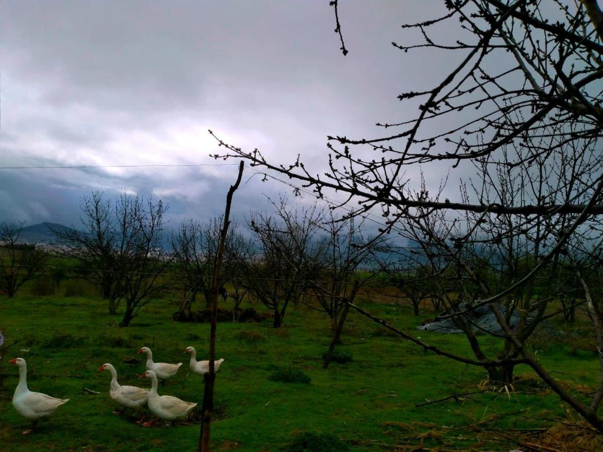 Ferme D'Hote La Vallee أزرو المظهر الخارجي الصورة