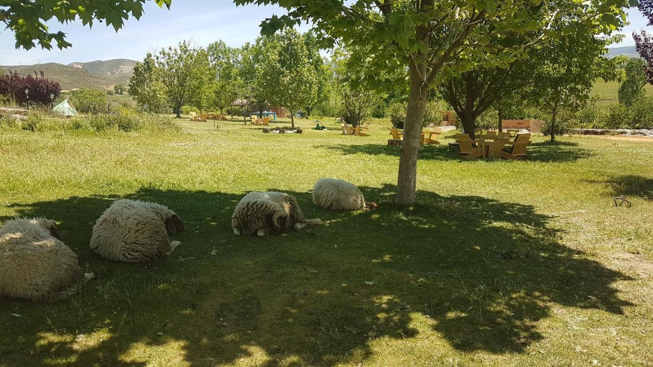 Ferme D'Hote La Vallee أزرو المظهر الخارجي الصورة